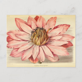  Franse Floral Ephemera ontkoppeling roze tis Briefkaart