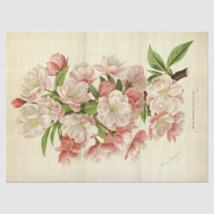  Franse Floral Ephemera ontkoppeling Roze Tissuepapier