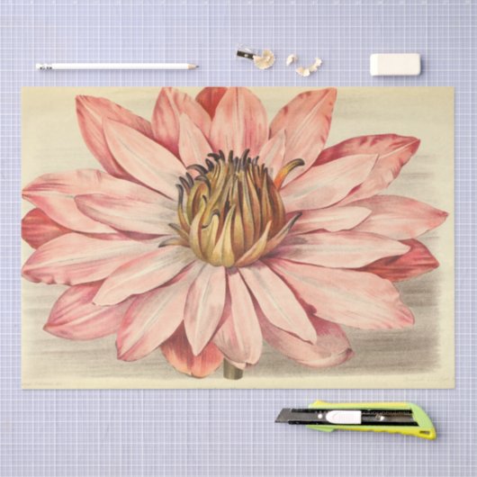 Franse Floral Ephemera ontkoppeling Roze Tissuepapier (Craft)