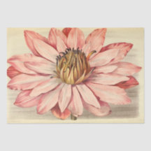 Franse Floral Ephemera ontkoppeling Roze