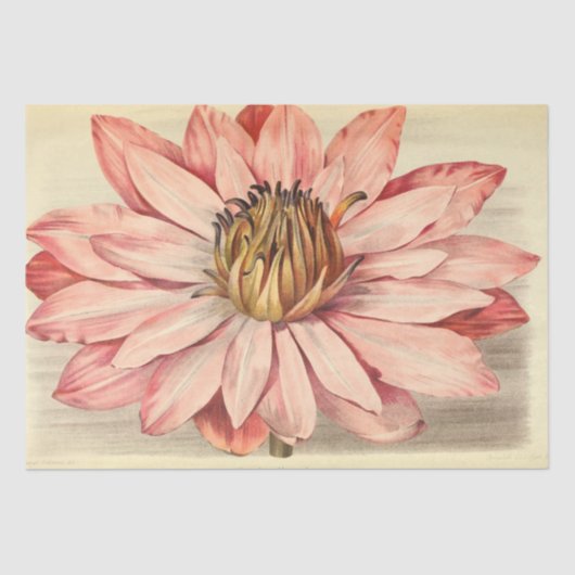  Franse Floral Ephemera ontkoppeling Roze Tissuepapier (Voorkant)