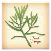Franse foto van Tarragon Herb Foto Afdruk (Voorkant)
