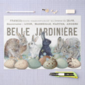 Franse Garden Bunny Rabbit Eggs Easter Decoupage Tissuepapier (Craft)