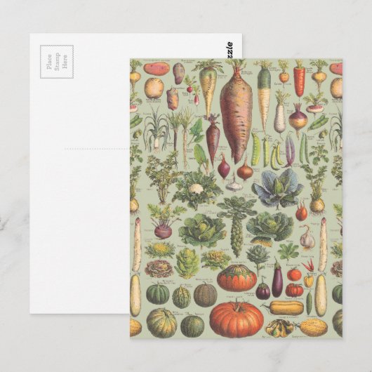 Franse Gids voor de Tuin Briefkaart (Voorkant / Achterkant)