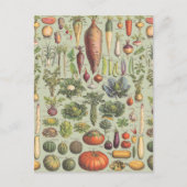 Franse Gids voor de Tuin Briefkaart (Voorkant)