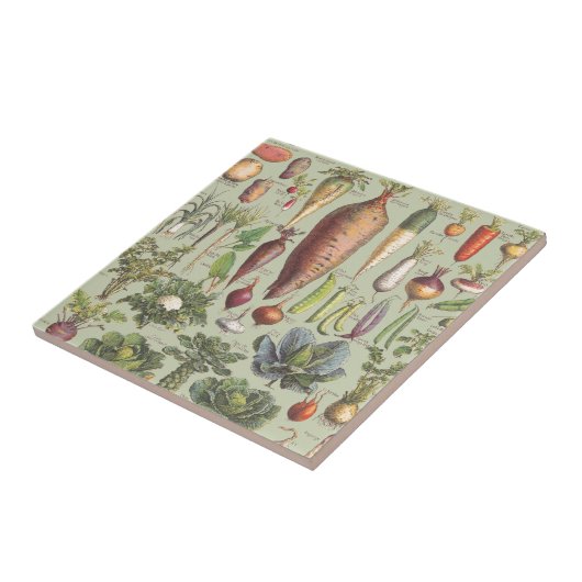 Franse gids voor de tuin tegeltje (Zijkant)