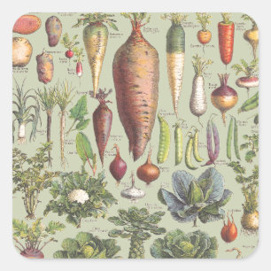 Franse gids voor de tuin vierkante sticker