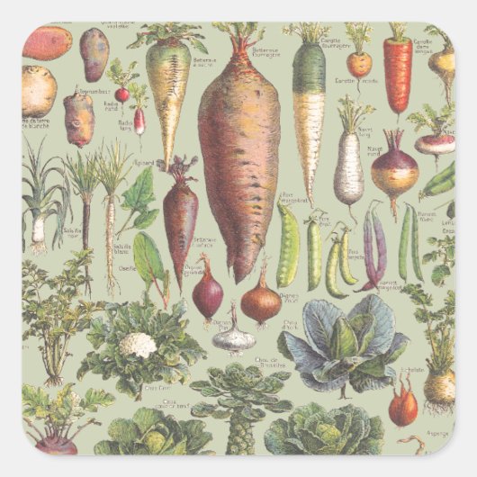 Franse gids voor de tuin vierkante sticker (Voorkant)