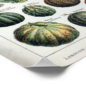  Franse groenten en plantaardige Planten Poster (Hoek)