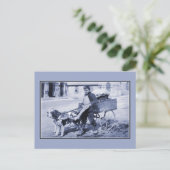  Franse groentesector en hondenkarretje Briefkaart (Staand voorkant)