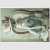 Franse haarloze kat chique sfinx decoupage tissuepapier (Voorkant)