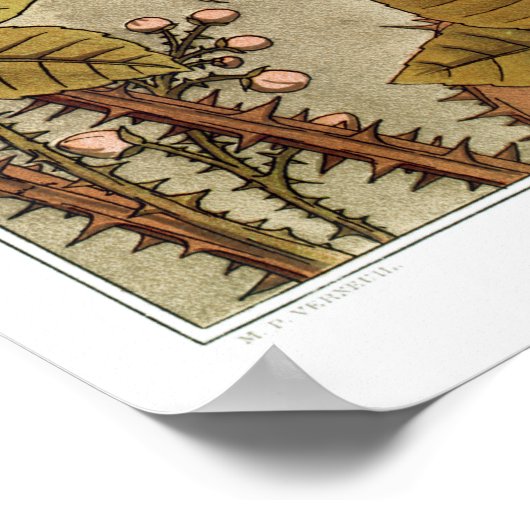 Franse hazard Illustratie Poster (Hoek)