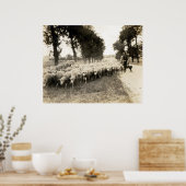 Franse herder 1921 poster (Keuken)