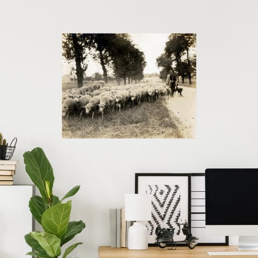 Franse herder 1921 poster (Thuiskantoor)