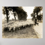 Franse herder 1921 poster (Voorkant)