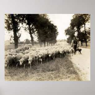 Franse herder 1921 poster