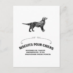 Franse hond, Antiek Dog Biscuit en mode Briefkaart