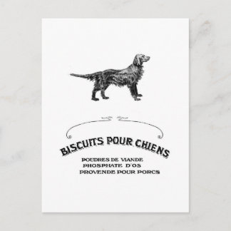 Franse hond, Antiek Dog Biscuit en mode Briefkaart