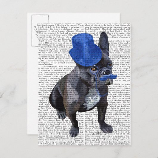Franse hond met blauw bovenste hak en snor briefkaart (Voorkant / Achterkant)