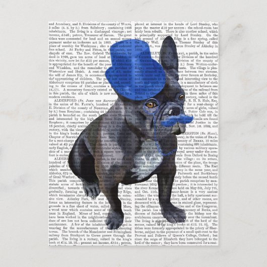 Franse hond met blauw bovenste hak en snor briefkaart (Voorkant)