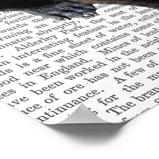 Franse hond met blauw bovenste hak en snor poster (Hoek)