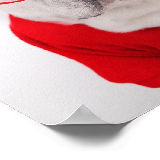 Franse hond met bril en rood Shirt Poster (Hoek)