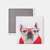 Franse hond met bril en Shirt Magneet (Voorkant / Achterkant)