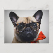 Franse hond met bril en Stropdas Briefkaart (Voorkant)
