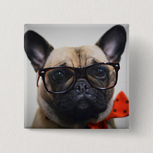 Franse hond met bril en Stropdas Vierkante Button 5,1 Cm