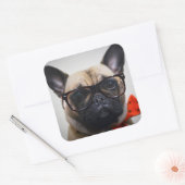 Franse hond met bril en Stropdas Vierkante Sticker (Envelop)