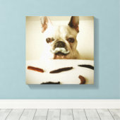 Franse hond met een snor canvas afdruk (Insitu (Houten vloer))