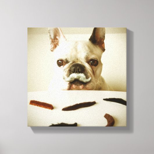 Franse hond met een snor canvas afdruk (Voorkant)