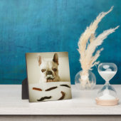 Franse hond met een snor fotoplaat (Insitu)