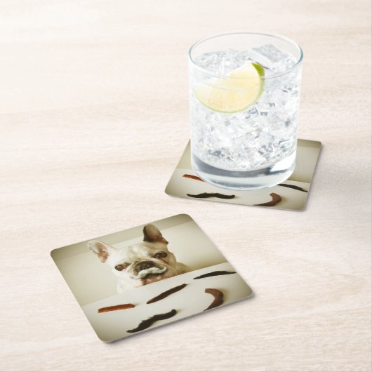 Franse hond met een snor kartonnen onderzetters (Insitu)