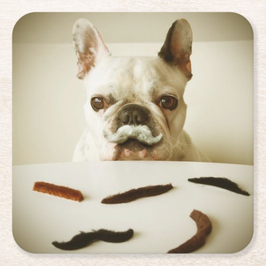 Franse hond met een snor kartonnen onderzetters (Voorkant)