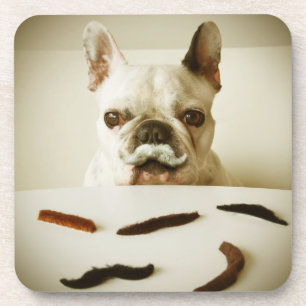 Franse hond met een snor onderzetter