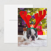 Franse hond met rendieren briefkaart (Voorkant / Achterkant)