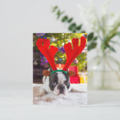 Franse hond met rendieren briefkaart (Staand voorkant)
