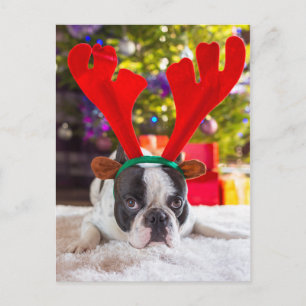 Franse hond met rendieren briefkaart