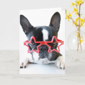 Franse hond met rode Star-bril Kaart (Gele Bloem)