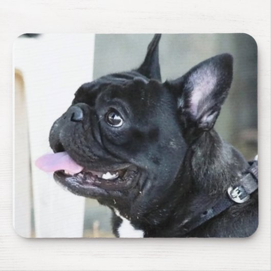 Franse hond muismat (Voorkant)