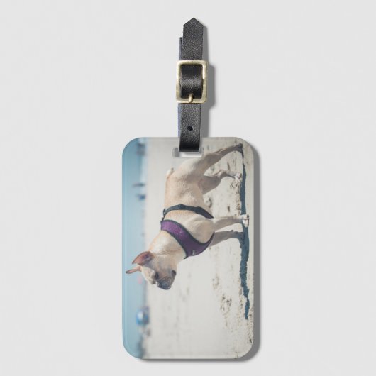 Franse hond op strand bagagelabel (Voorkant (verticaal))