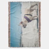 Franse hond op strand deken (Voorkant Verticaal)