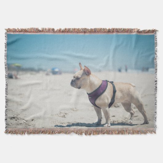 Franse hond op strand deken (Voorkant)