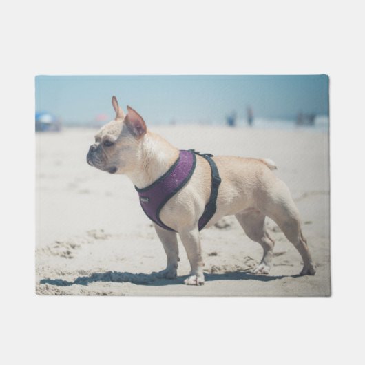 Franse hond op strand deurmat (Voorkant)