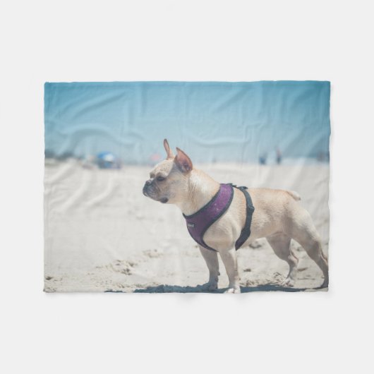 Franse hond op strand fleece deken (Voorkant (Horizontaal))