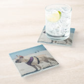 Franse hond op strand glazen onderzetter (Schuin)