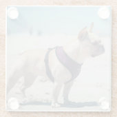 Franse hond op strand glazen onderzetter (Achterkant)