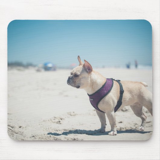 Franse hond op strand muismat (Voorkant)
