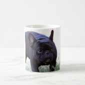 Franse hond van Bulldog Koffiemok (Center)